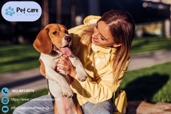 Mobile Vet | Petcareathome.ca