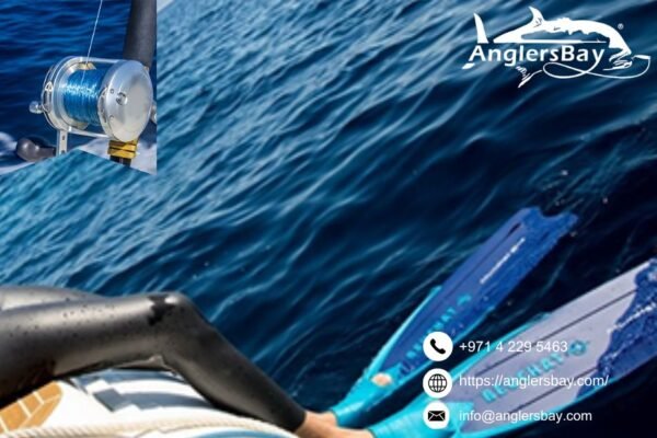 Shimano Spinning | Anglersbay.com