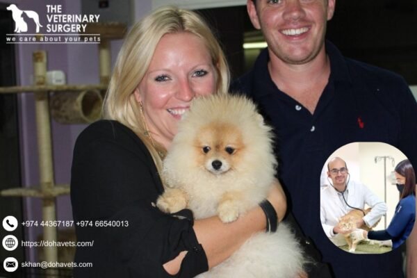 Doha Vet | Dohavets.com