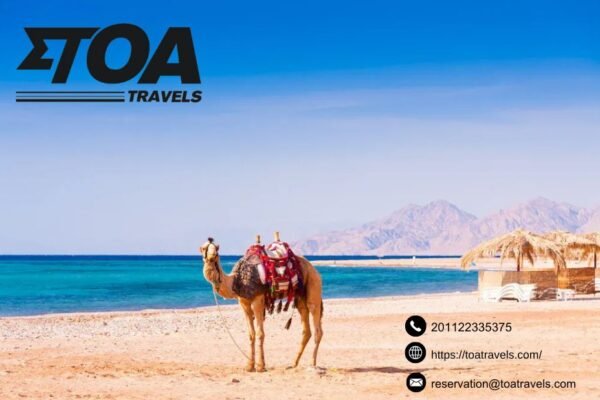 Cairo Airport Transfer | Toatravels.com