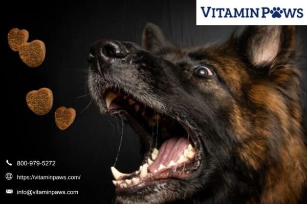 Omega 3 Fish Oil For Dogs | Vitaminpaws.com