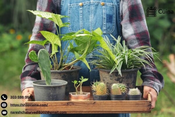 Online Marketplace For Small Farms | Cuina