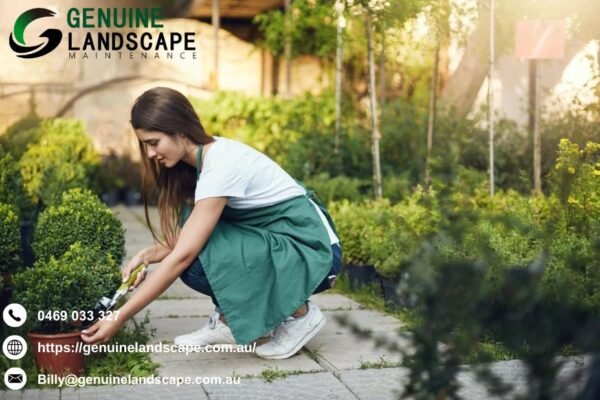 Regular Gardening Services Sydney Near You