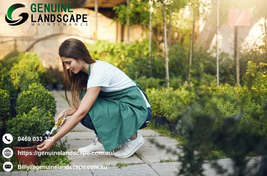 Regular Gardening Services Sydney Near You