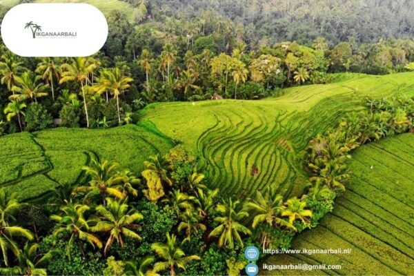 Gates To Heaven Tour Pakket Bali | Ikganaarbali.nl