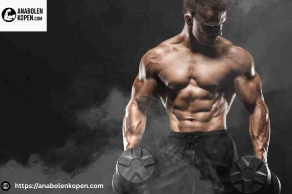 Anabole steroïden kopen | Anabolenkopen.com