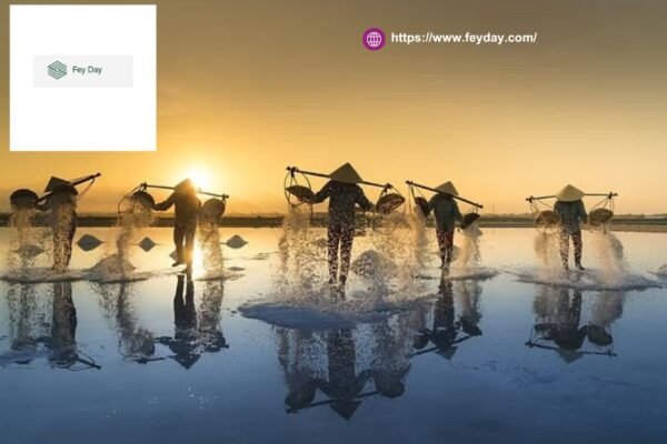 Sale Of Business In Singapore | Feyday.com