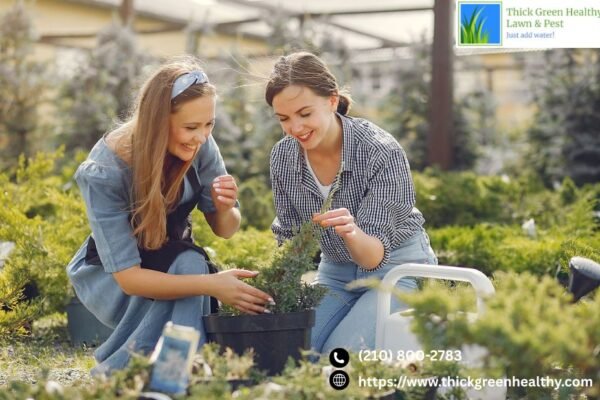 Keeping San Antonio Lawns Green And Healthy | Thickgreenhealthy.com
