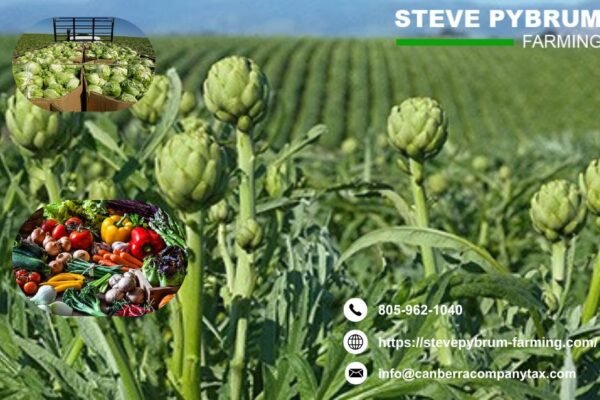 Farm Taxation Expert in Santa Maria Professional Tax Services for Your Farm