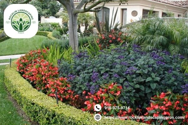 Rocklin Landscaping | Rocklinlandscapingpros.com