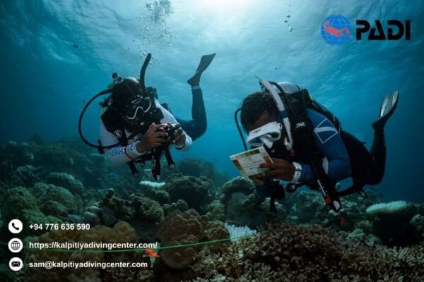 Fundivingsrilanka | Kalpitiyadivingcenter.com