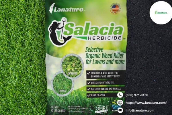 Best Organic Herbicide for Lawns: Gentle, Effective Options