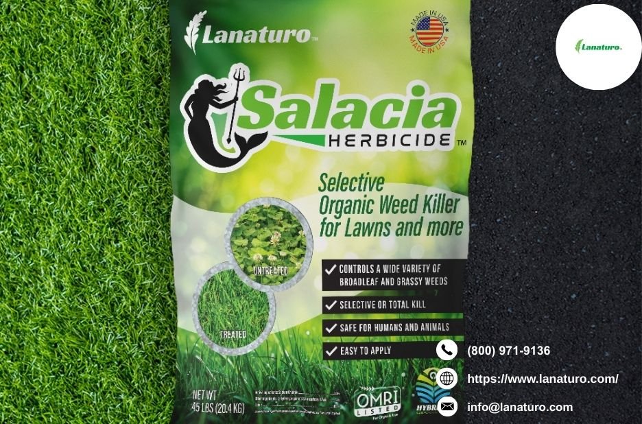 Best Organic Herbicide for Lawns: Gentle, Effective Options