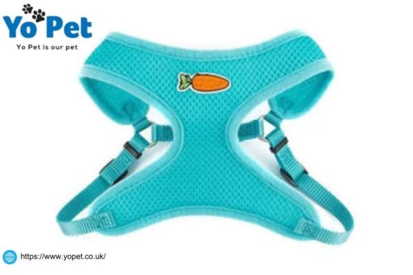 Kaytee Comfort Wheel | Yopet.co.uk