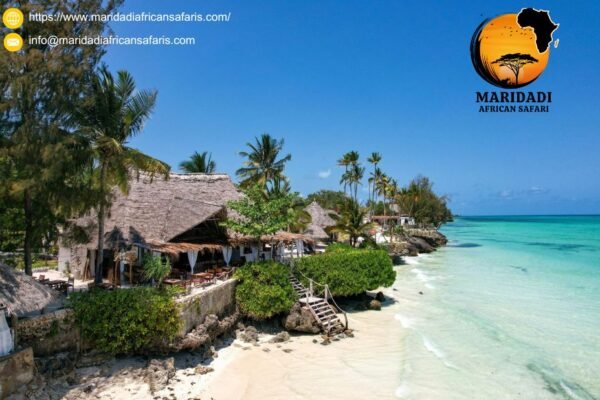 Explore Epic African Safaris: Tailored USA-Departing Adventures
