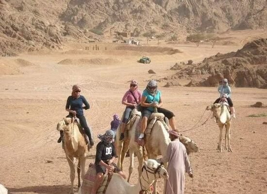 Cairo Private Tour: Discover Ancient Wonders in Comfort