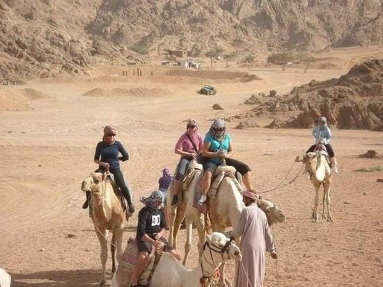 Cairo Private Tour: Discover Ancient Wonders in Comfort