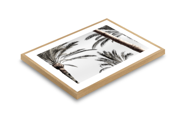 Explore Premium Home Art Inspired by Sydney’s Vibe
