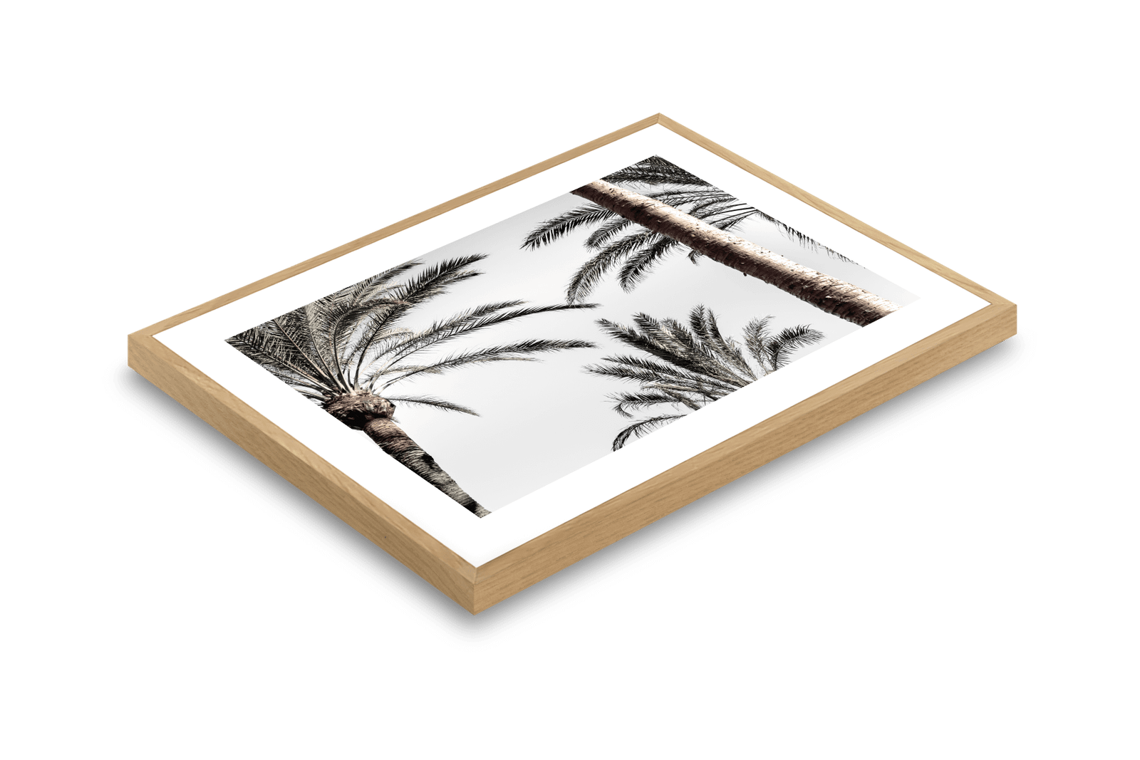 Explore Premium Home Art Inspired by Sydney’s Vibe