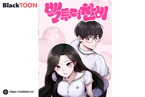 합법적으로 즐기는 다양한 완결 웹툰 모음과 편리한 이용 가이드