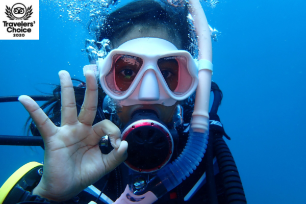 Kalpitiya’s Top Diving Destinations Revealed for 2026
