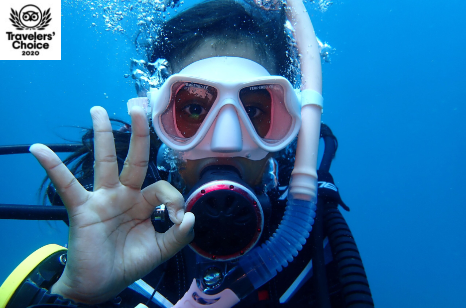 Kalpitiya’s Top Diving Destinations Revealed for 2026