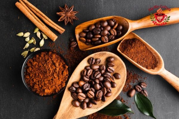 Discover Exceptional Single-Origin Coffees and Rich Flavour Profiles