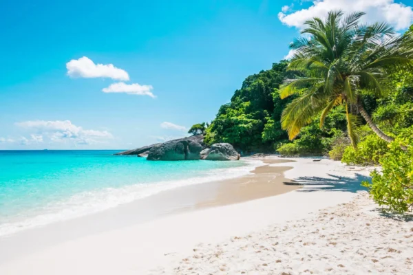 Explore Hawaii with flexible car rentals and great value