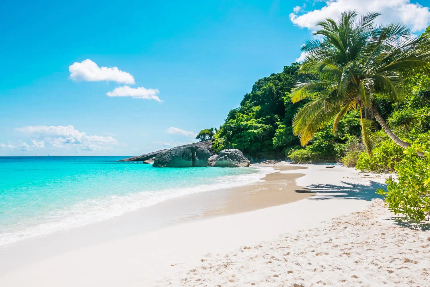 Explore Hawaii with flexible car rentals and great value