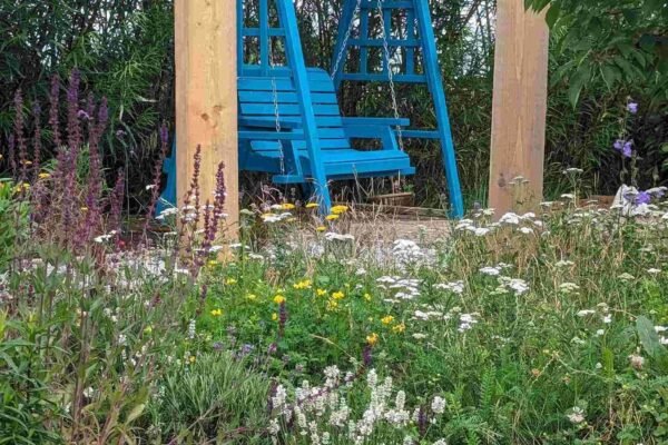 Create a thriving wildlife-friendly garden in Crewe