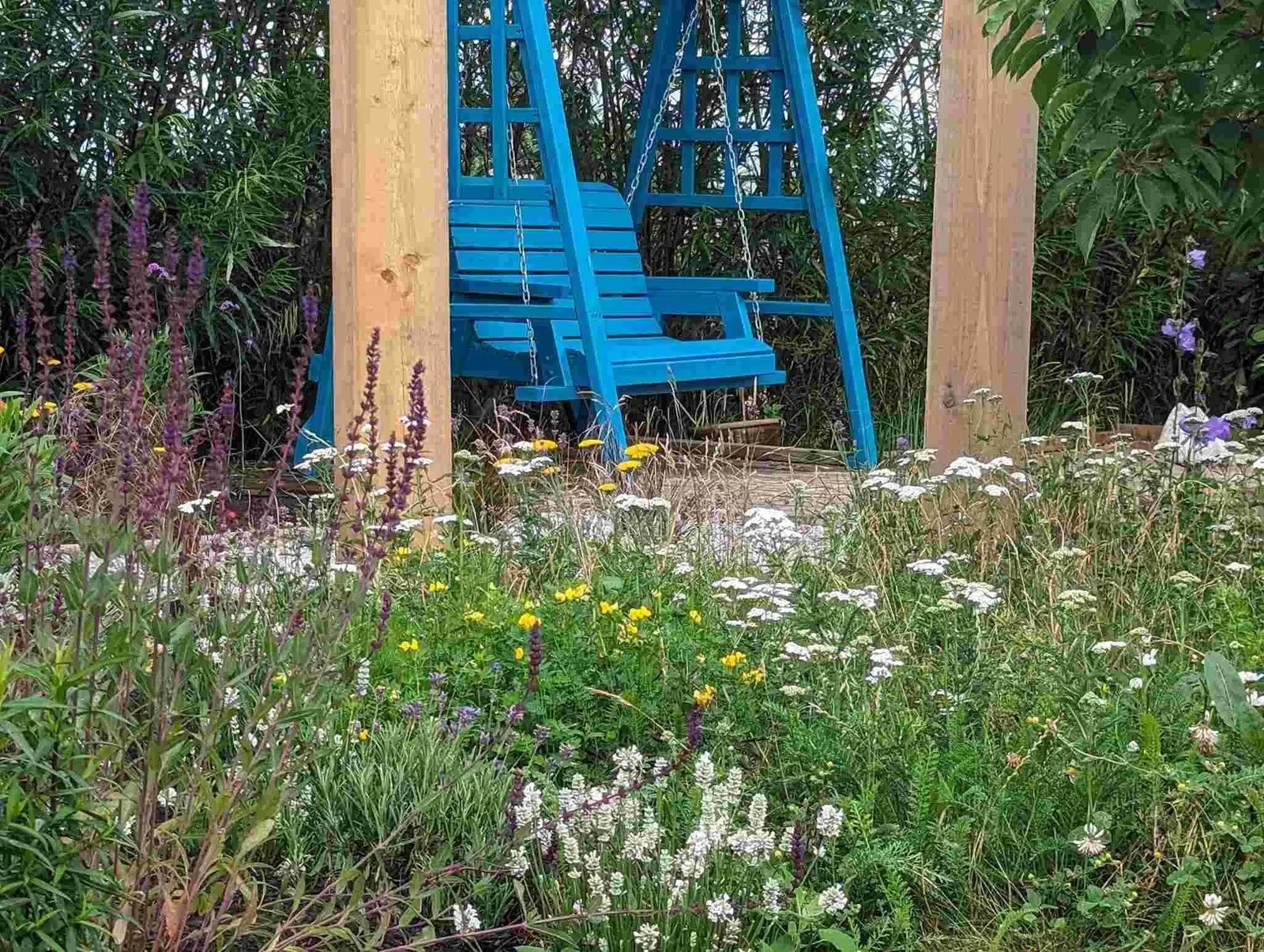 Create a thriving wildlife-friendly garden in Crewe