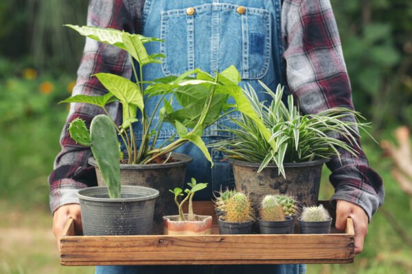 Discover a marketplace for home based food sellers you can trust