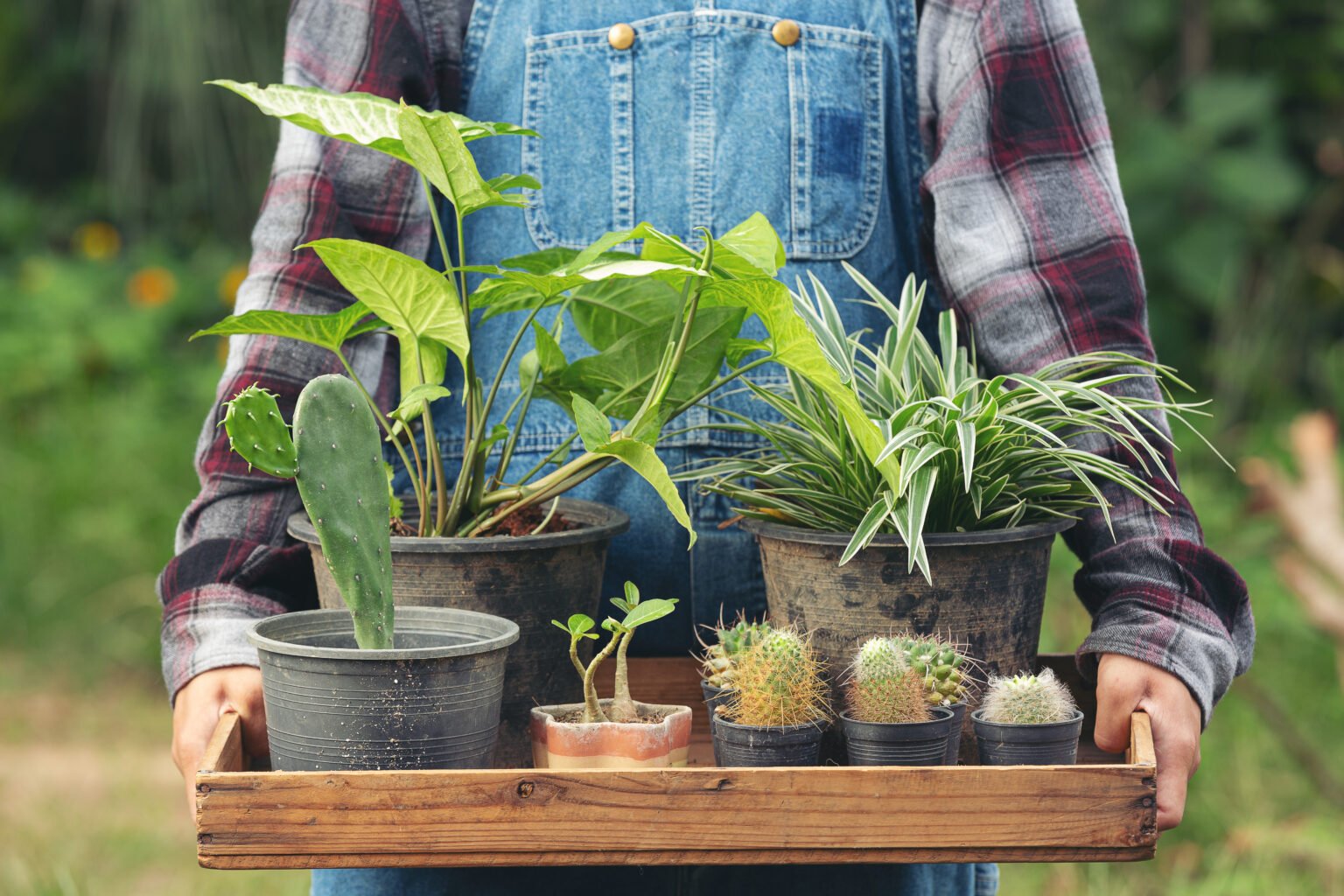 Discover a marketplace for home based food sellers you can trust