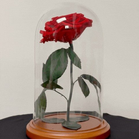 Eternal Rose in a Glass Dome: A Timeless Keepsake