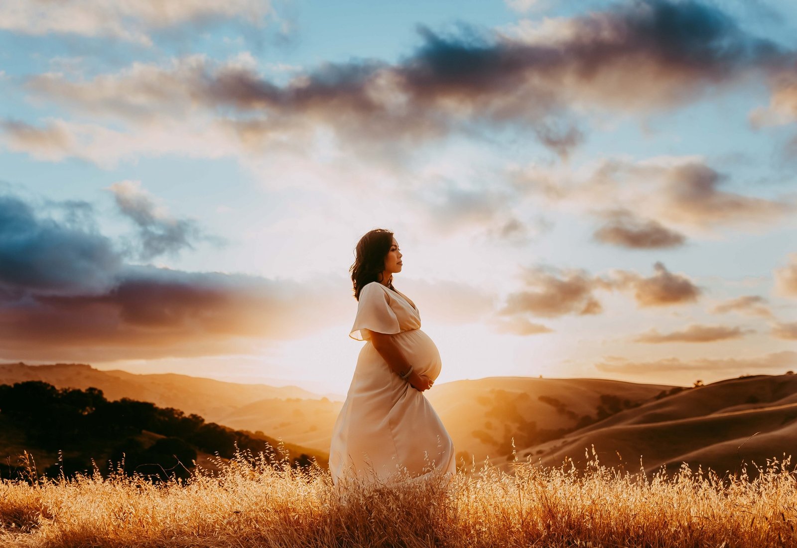 Timeless Family Portraits in the Bay Area
