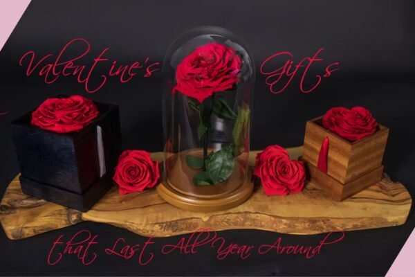Timeless Rose Gifts for Every Occasion