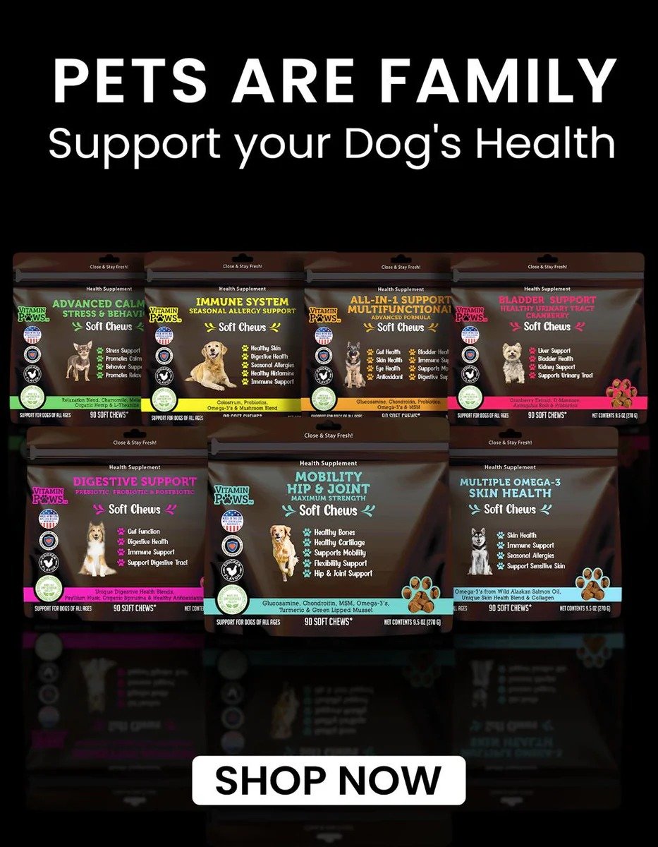 Boost Your Dog’s Zest for Life with Gentle Joint Support