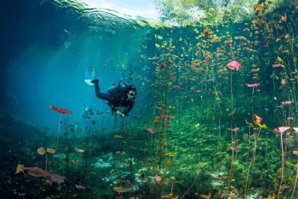 Underwater wonders: cenotes around Tulum for divers