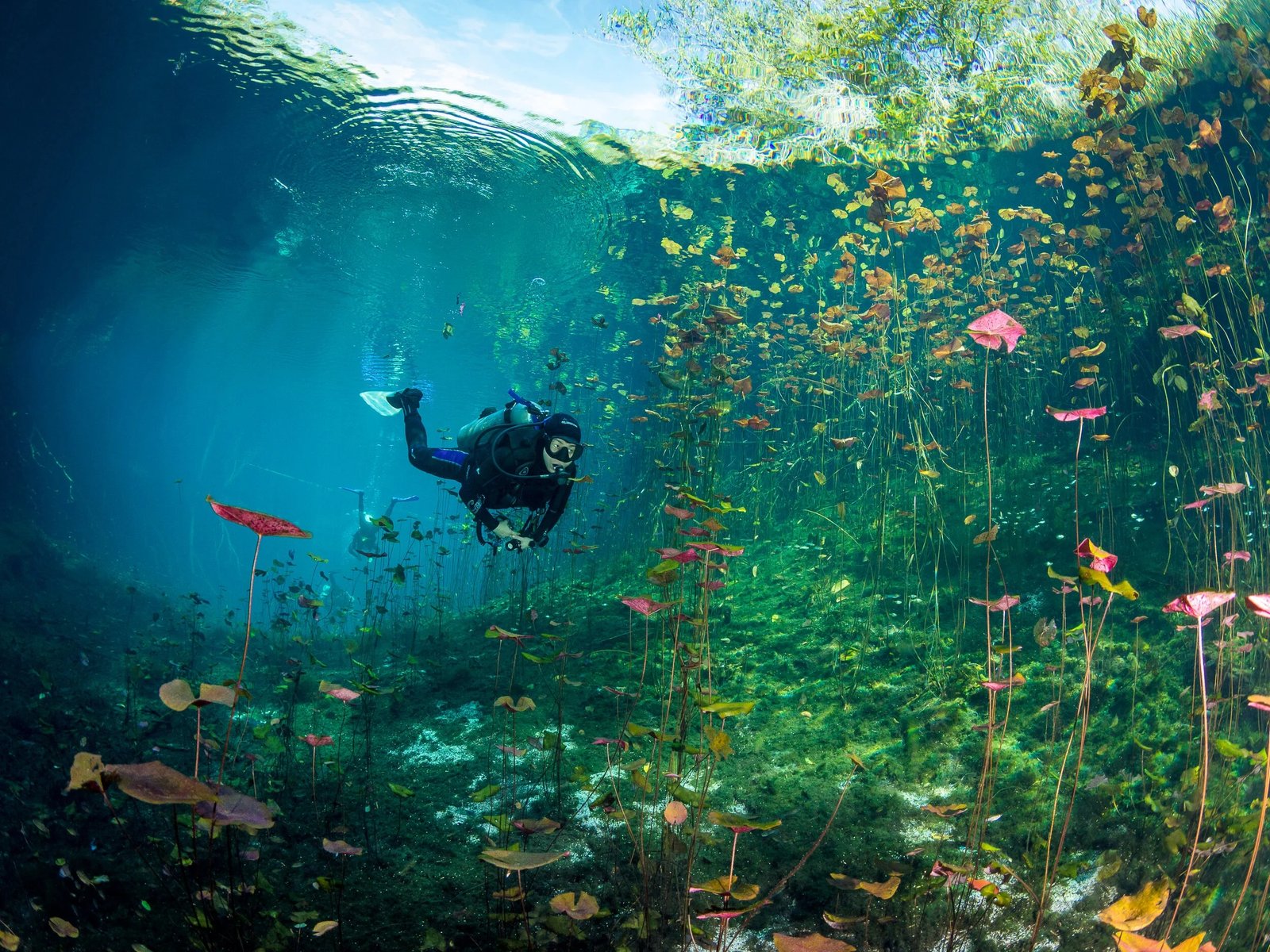 Underwater wonders: cenotes around Tulum for divers