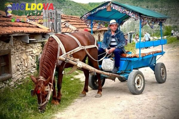Discover Charming Moldova City Tours for Your Next Getaway