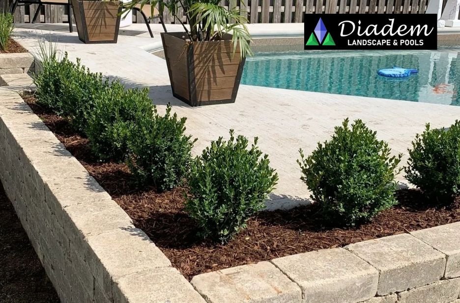 Transform Your Outdoor Space: Cambridge Backyard Landscaping