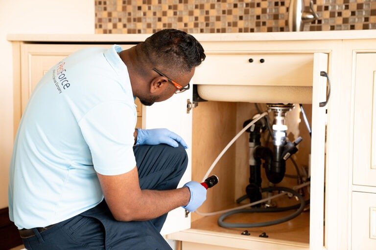 Top-Quality Pest Management for Homes and Businesses in Calgary
