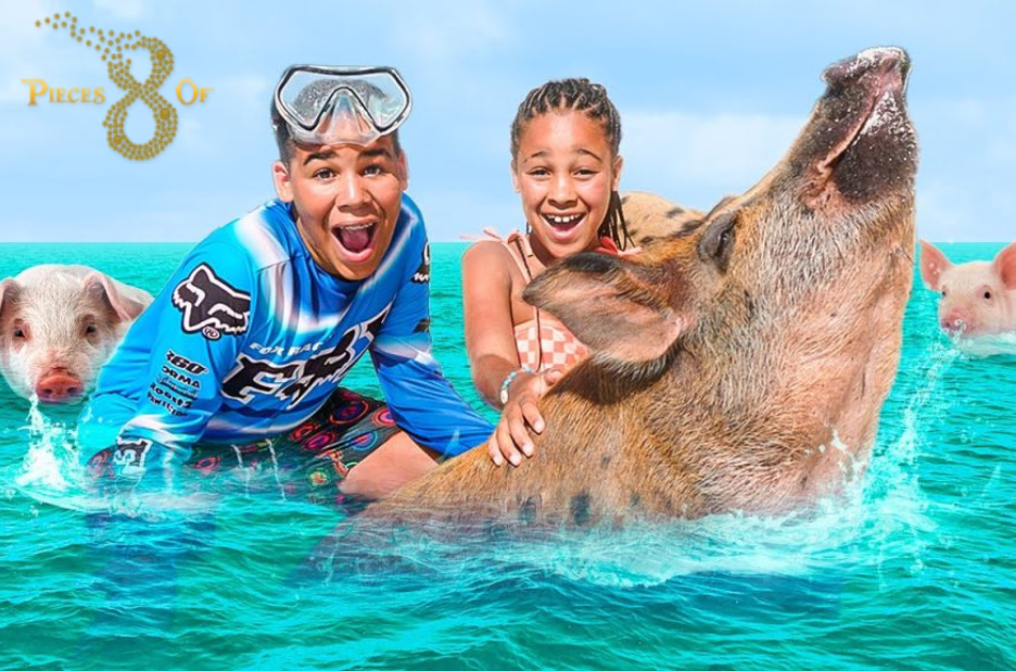 Discover Bahamas Beach Pigs: An Unforgettable Island Experience