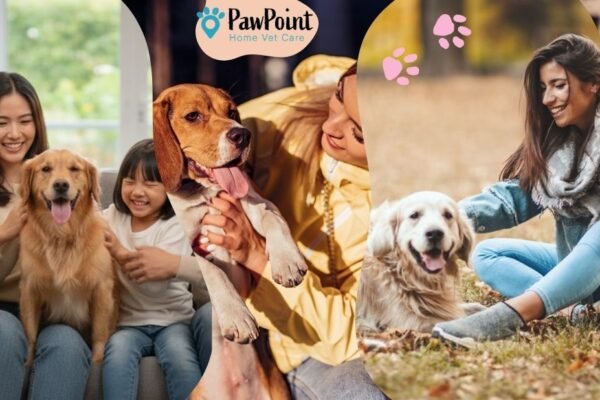 Compassionate Pet Euthanasia in Calgary at Home