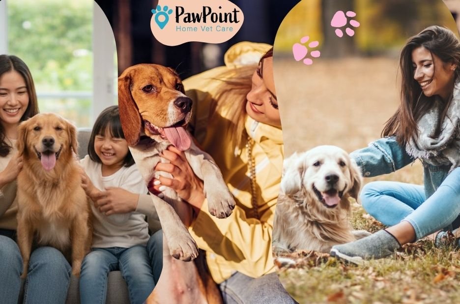 Compassionate Pet Euthanasia in Calgary at Home