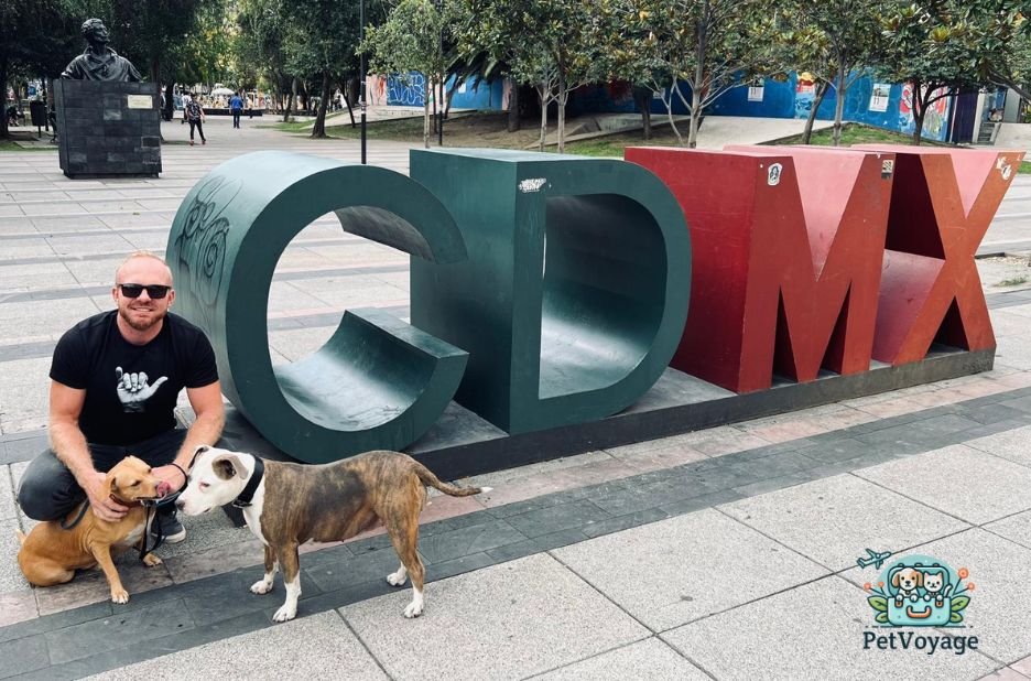 A Practical Guide to Bringing Pets to Mexico Safely