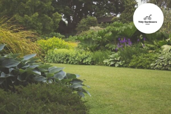 Expert Gardening for Stunning Outdoor Spaces