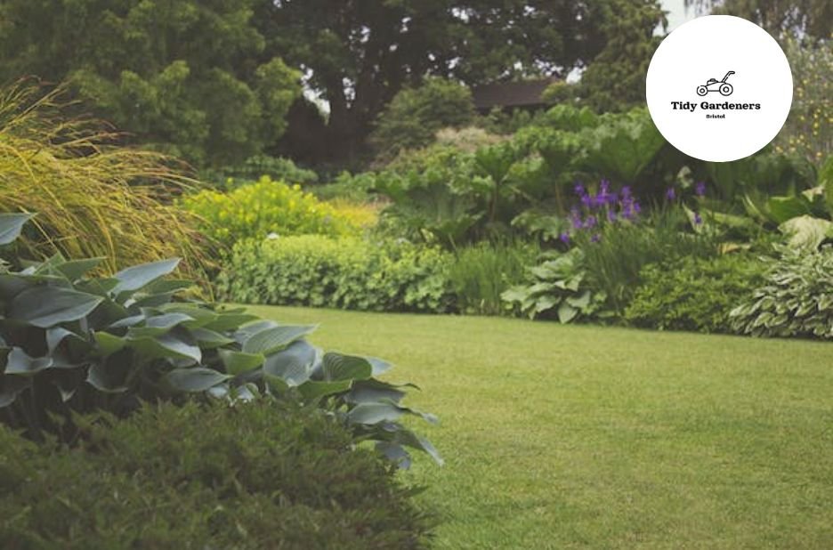 Expert Gardening for Stunning Outdoor Spaces
