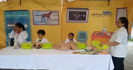 Conecta con talento en Monterrey: soluciones de reclutamiento efectivas