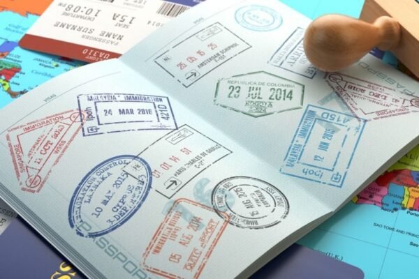 Get Your ECS Card Quickly and Legally with Expert Support